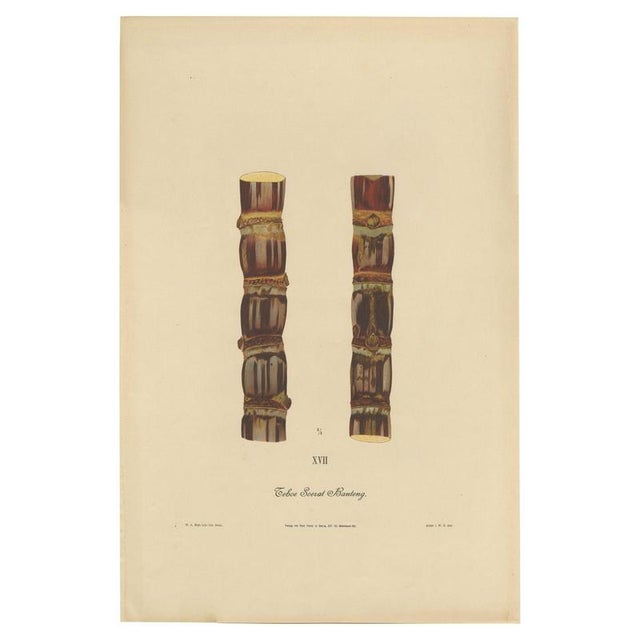 Sugarcane, 1892, Paper For Sale - Image 10 of 10