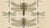 Green Dragonfly Lithographs from Die Geradflügel Mitteleuropas, 1908, Set of 3 For Sale - Image 8 of 13