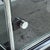 Sideboard in Black with Granite Top from USM Haller For Sale - Image 5 of 13