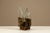 Glass LT 372 Leaf Table Lamps by Carlo Nason for AV Mazzega, Italy, 1970s, Set of 2 For Sale - Image 7 of 14