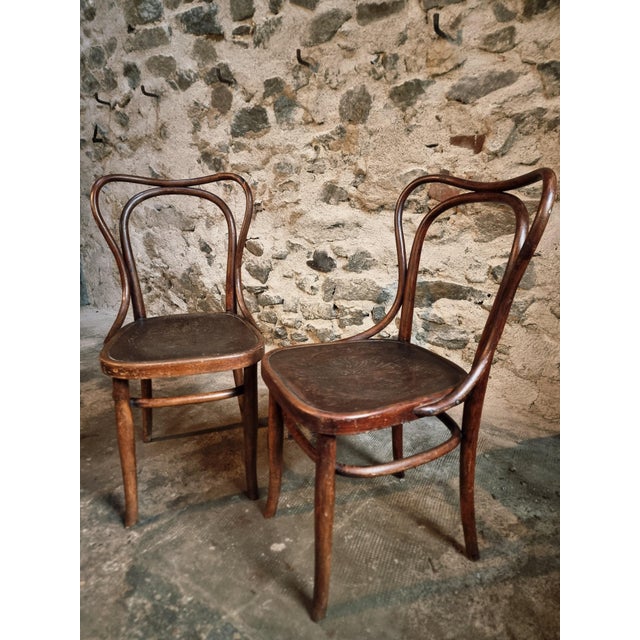Bentwood Café Chairs from Jacob & Josef Kohn, Vienna, Austria, 1900s, Set of 2 For Sale - Image 12 of 15