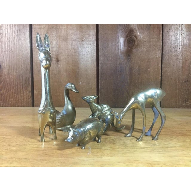 Brass Animal Collection Set of 5 Chairish