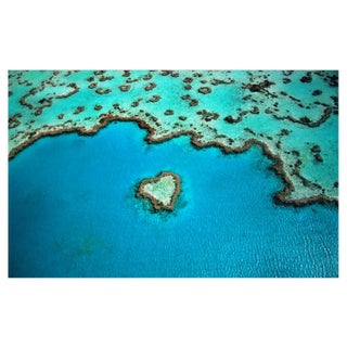 Grant Faint, Australia, Barrier Reef, Photographic Paper For Sale