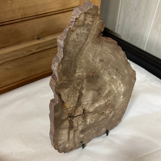 Contemporary Live Edge Petrified Wood F For Sale - Image 3 of 10