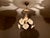 Mid 20th Century Italian Handmade Porcelain & White Murano Glass Daisy Chandelier For Sale - Image 13 of 18