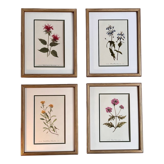 Vintage Botanical Print Set of 4 - Authentic 1953 Prints For Sale