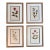 Vintage Botanical Print Set of 4 - Authentic 1953 Prints For Sale