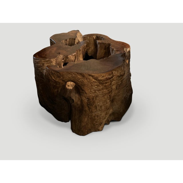 Contemporary Andrianna Shamaris Organic Teak Wood Coffee Table or Pedestal For Sale - Image 3 of 6