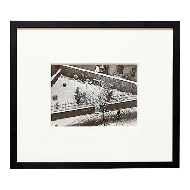 Photograph by Andre Kertesz, 1966 For Sale