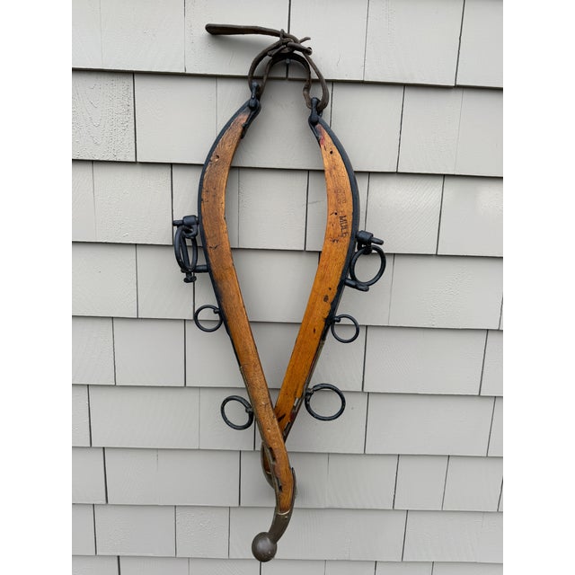 Antique u.s. Hame Co. Buffalo Ny Mule Hames – Original Wooden & Iron Harness Pair c.1900–1925 – Rustic Farmhouse Wall Decor For Sale - Image 11 of 18