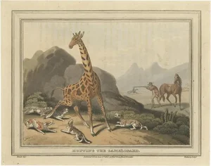 Howitt, Hunting Scene of the Camelopard / Giraffe, 1813, Print