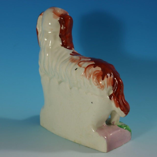 Mid 19th Century Staffordshire King Charles Spaniel on Leaf Base For Sale - Image 6 of 13