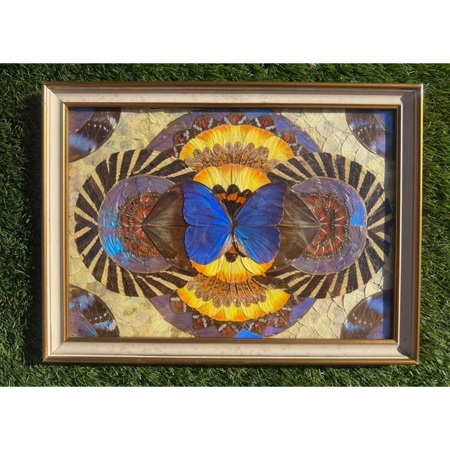 Mid-Century Modern Brazilian Artist, Natural Morpho Butterflies, 1950s, Paintings, Set of 2 For Sale - Image 3 of 7