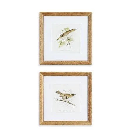 Perching Birds Framed Prints - Set of 4 In a soothing sepia palette, this bird study set of four prints adds a warm...