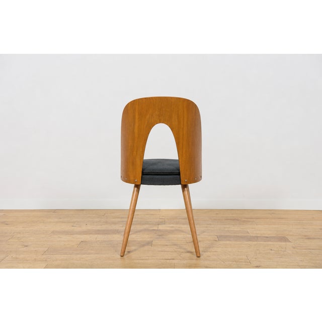 Mid-Century Oak Dining Chairs by Antonín Šuman for Tatra Nábytok, Czechoslovakia, 1960s, Set of 6 For Sale - Image 12 of 18