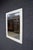 Painted Botanical Mirror Attributed to the Kellogg Collection For Sale In Philadelphia - Image 6 of 7