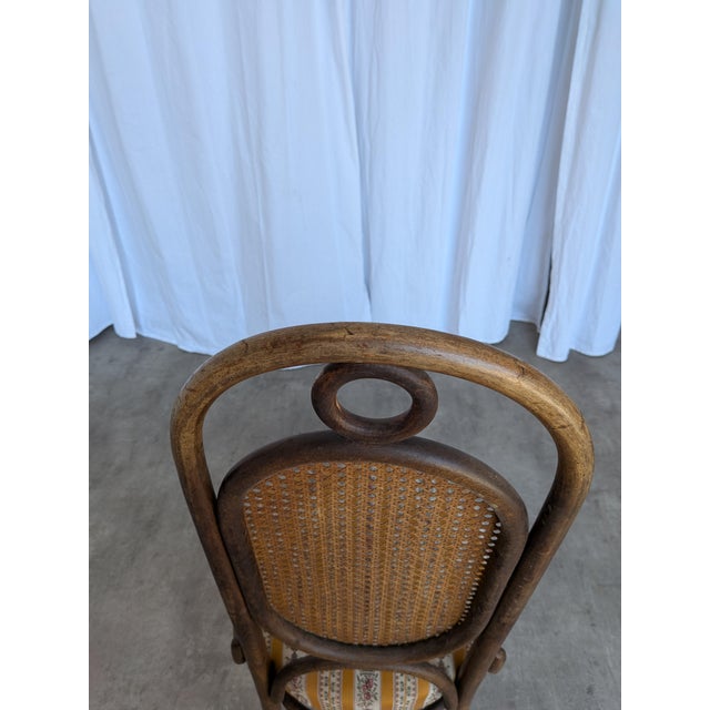 Vintage Bentwood Chair in Fabric and Cane Backrest, Yugoslavia, 1970s For Sale - Image 14 of 18