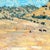 Taking Care of Business by Clyde Steadman | Oil on panel Landscape with cattle and a truck. For Sale - Image 4 of 4