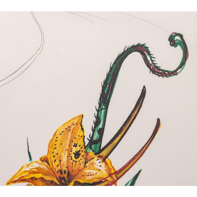 Paper Salvador Dali "Daylily (Elephant)" Etching, 1972 For Sale - Image 7 of 13