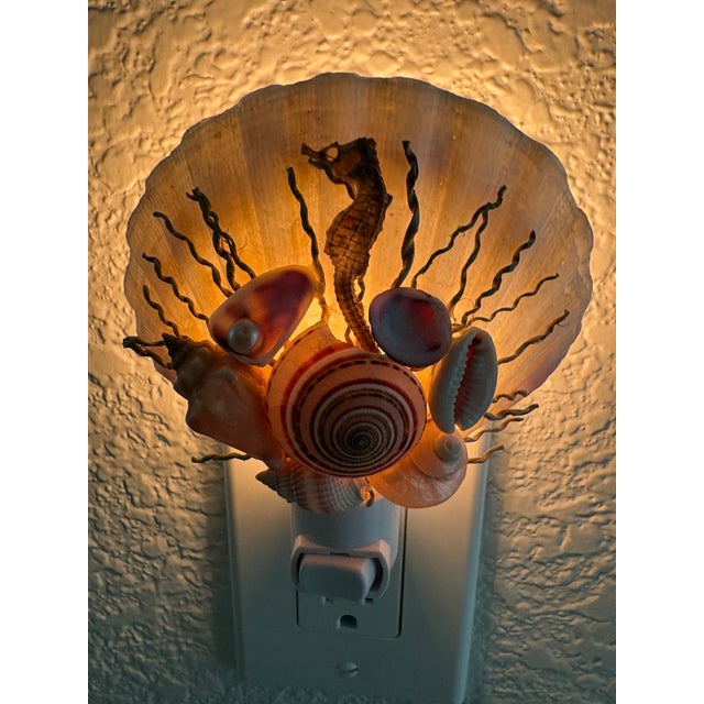 White Natural Beach House Seashell Adorned Nightlight For Sale - Image 8 of 11