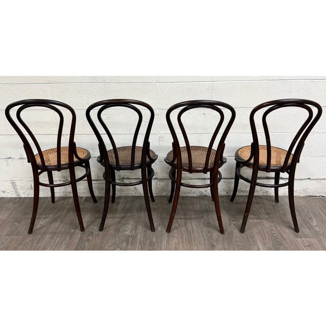 Antique Thonet Style Bentwood Caned Seat Dining Chairs - Set of 4 For Sale - Image 9 of 12