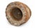 18th Century Granite Stone Bowl Mortar Planter Caramel Stripes 11 Lb For Sale - Image 10 of 10