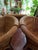 Mid-Century Modern Sculptural Armchairs from Vivai Del Sud, Italy, 1970s. Set of 3 For Sale - Image 3 of 18