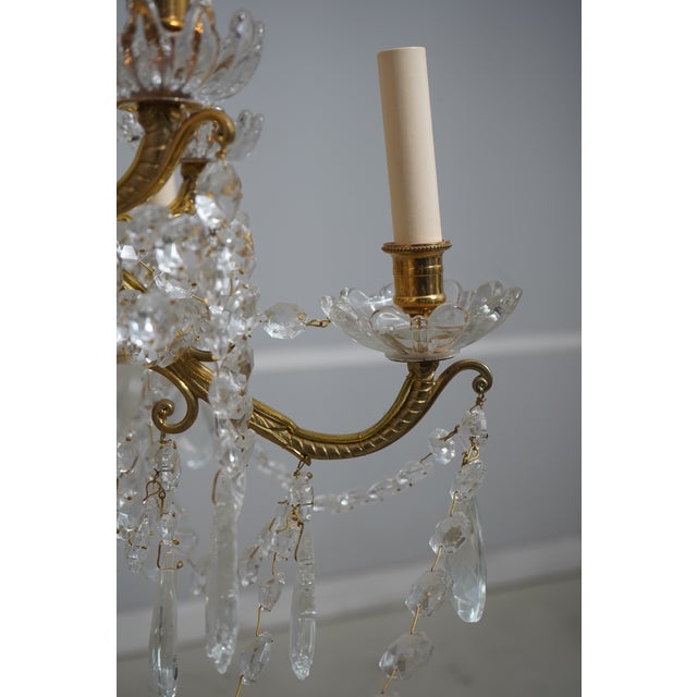 1980s 1980s French Style Crystal & Brass 12 Arm Chandelier For Sale - Image 5 of 12