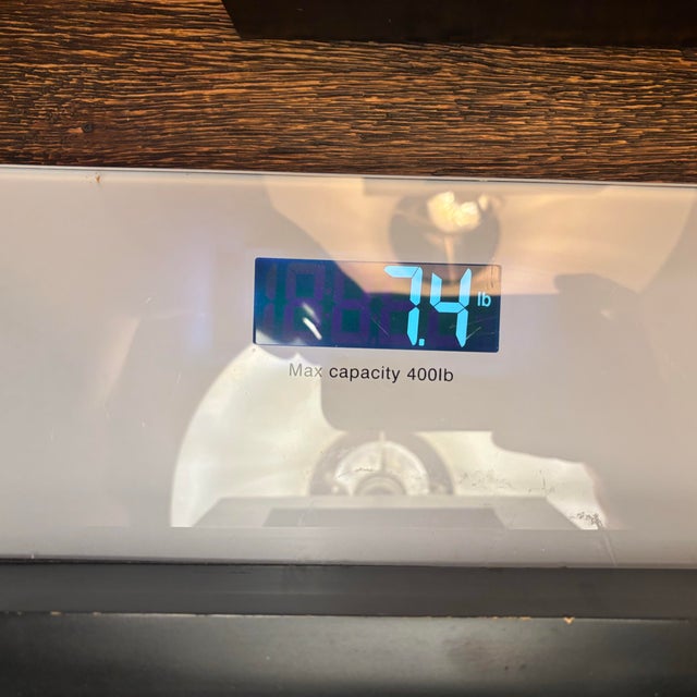 Set of 2 Vintage Robert Abbey Solid Brass Donut Table Lamps Circa 2000 For Sale - Image 10 of 12