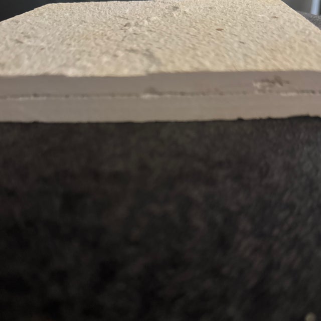 Fossilized Knightia Eocaena From the Green River Formation With Coa and Stand For Sale - Image 4 of 5