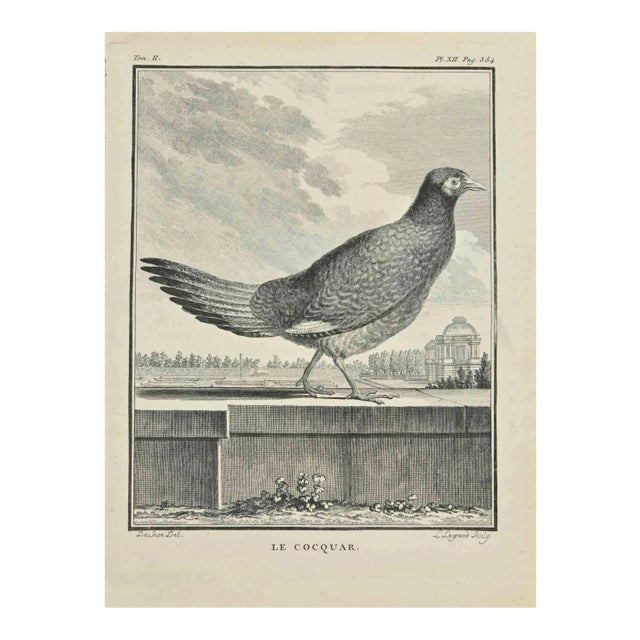 Louis Legrand, Le Cocquar, Etching, 1771 For Sale