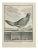 Louis Legrand, Le Cocquar, Etching, 1771 For Sale