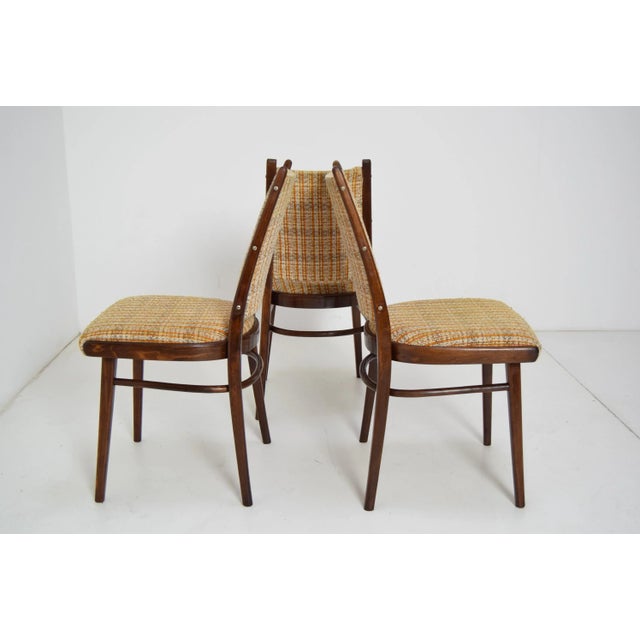 1960s Mid-Century Chairs from Ton, 1960s, Set of 3 For Sale - Image 5 of 10
