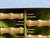 Vintage Hollywood Regency Gilt Bamboo Corn Holders Set of 8 For Sale - Image 11 of 11