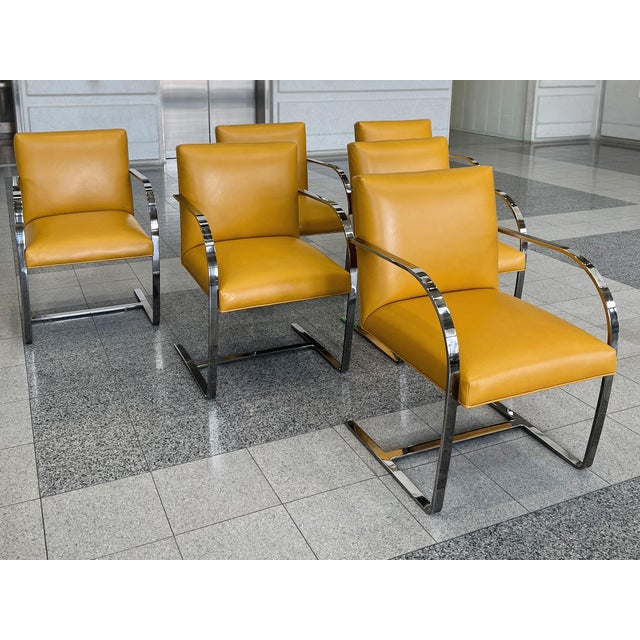 Ludwig Mies van der Rohe Chrome & Yellow Leather Chairs in the Style of Ludwig Mies Van Der Rohe & Lilly Reich - A Set of 6 For Sale - Image 4 of 15