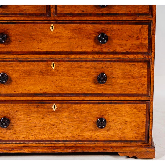 English English Two-Tone Oak Chest of Drawers, 19th Century Country House Chest With Mahogany Crossbanding For Sale - Image 3 of 11