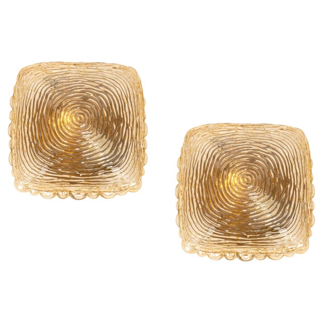 Amber Glass Sconces in Thumbprint Shape, Germany, 1970s, Set of 2 For Sale - Image 10 of 10
