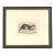 Otter Illustration, 19th Century Chromolithograph For Sale