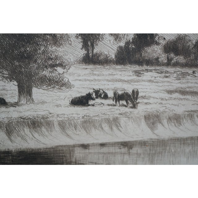 Antique William De La Montagne Cary Signed Bulls Cows River Landscape Etching For Sale - Image 10 of 12