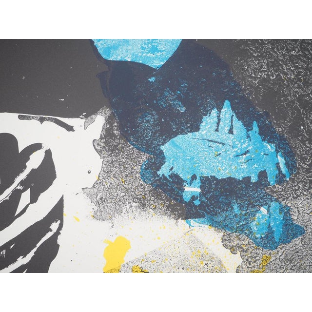 Jan Voss, FIAC 1985, Lithograph For Sale - Image 9 of 11