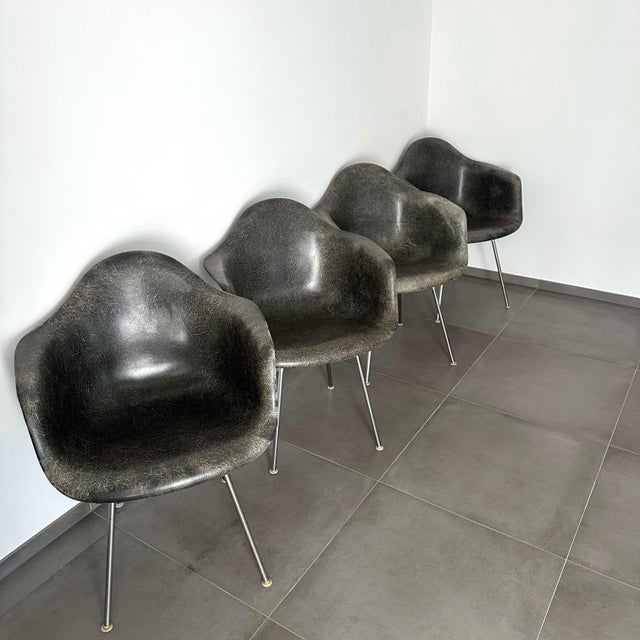 Dax Lounge Chairs by Charles and Ray Eames for Herman Miller, 1950s, Set of 4 For Sale - Image 11 of 13