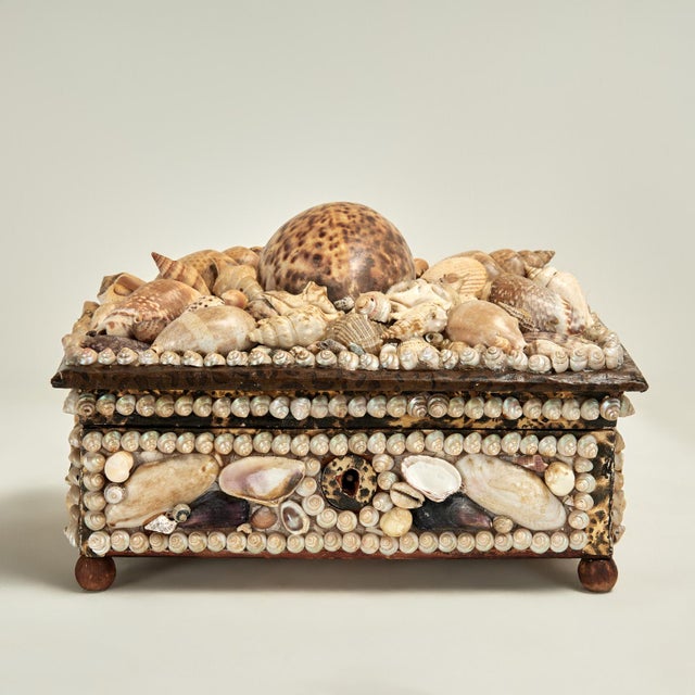 Charming 19th century British jewelry box ambitiously encrusted with exotic seashells. The interior has a mirror, pin...
