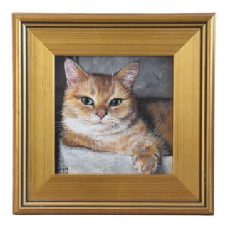 Orange Cat Kitten Portrait Painting Including the Antiqued Gold Wood Frame For Sale