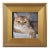 Orange Cat Kitten Portrait Painting Including the Antiqued Gold Wood Frame For Sale