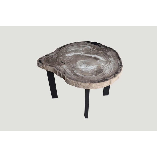 2010s Andrianna Shamaris Petrified Wood Slab Table For Sale - Image 5 of 5