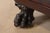 Brown George C. Flint Co. Antique American Empire Carved Mahogany Double Bookcase With Lion's Paw Feet, Circa 1890s For Sale - Image 8 of 12