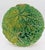C. 1880-1900 London Pair of Majolica Begonia Leaf Plates by Joseph Roth For Sale In Raleigh - Image 6 of 9