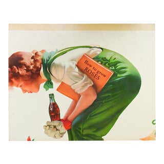 Coca Cola Section of Cardboard Sign How to Grow Roses For Sale