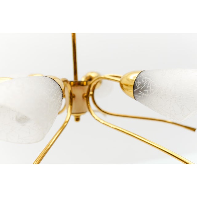 Metal Mid-Century Modern Six-Armed Brass Sputnik Lamp, 1950s For Sale - Image 7 of 13
