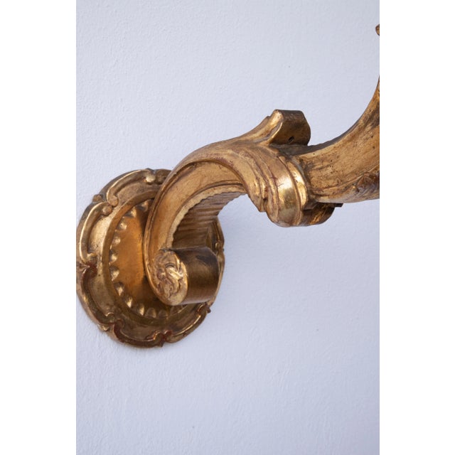 19th Century Classic Baroque Style Wall Lamp Gold Painted Wood, 1880 For Sale - Image 9 of 10